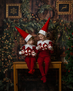 The Elf on the Shelf Experience shoots £279 Monday 1st December  (£50 deposit to book) please add childrens names and ages to notes in cart